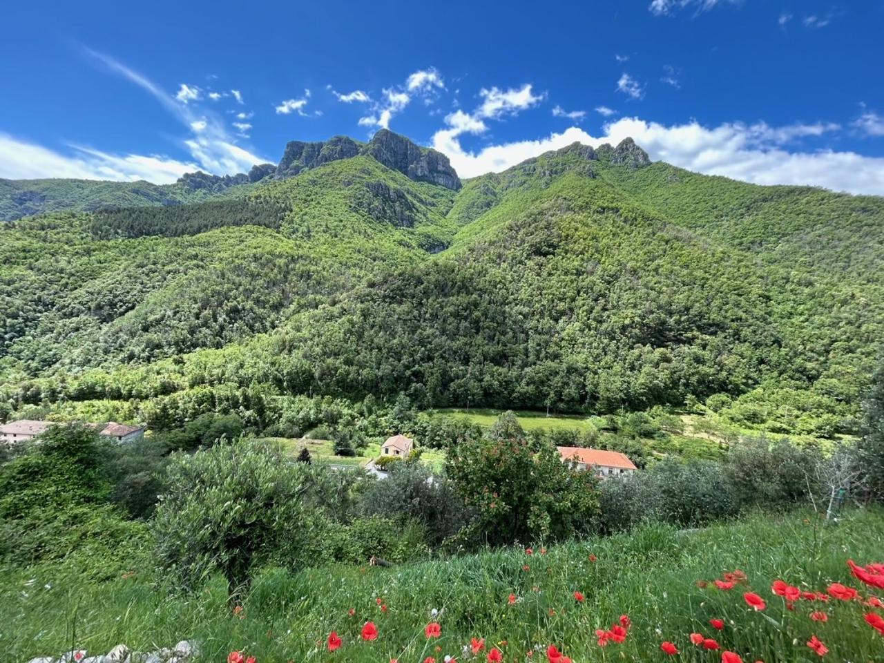 Castelletto With Mountain View Apartment Colletta Luaran gambar